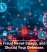 Identity Fraud Never Sleeps, and Neither Should Your Defenses